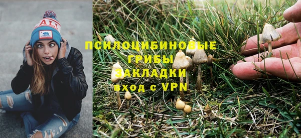 ГАЛЛЮЦИНОГЕННЫЕ ГРИБЫ Арсеньев