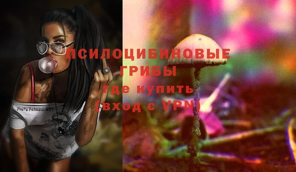 гидропоника Покачи